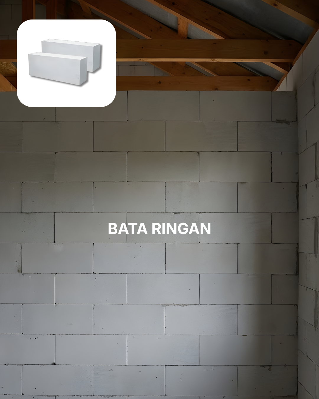 ringan